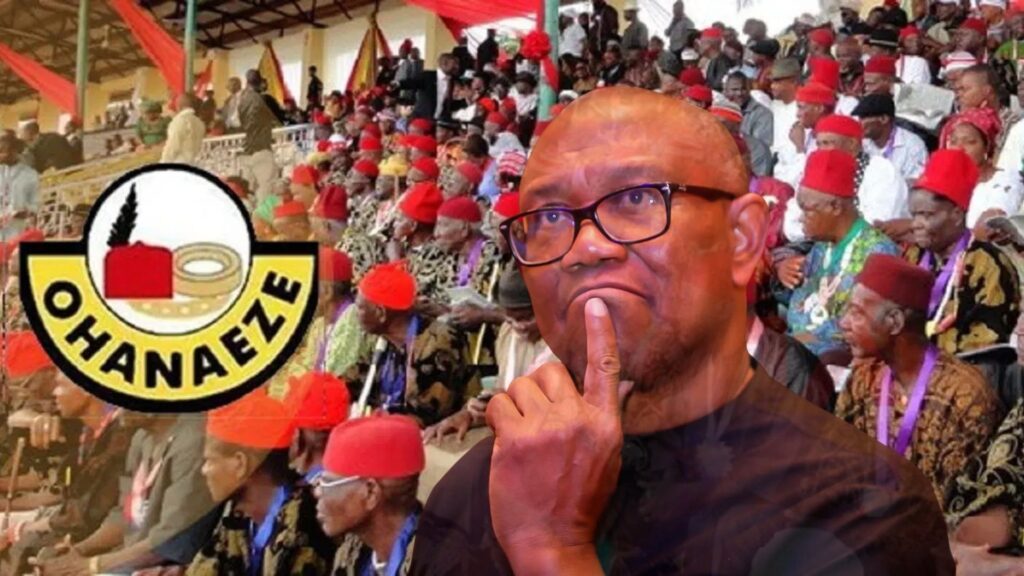 Ohanaeze Ndigbo, has called on Labour Party