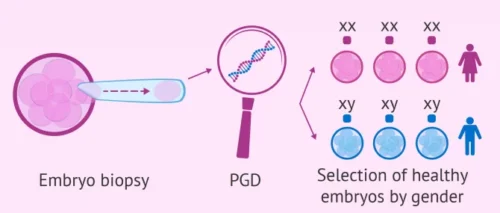 Embryo Viability and Genetic Health