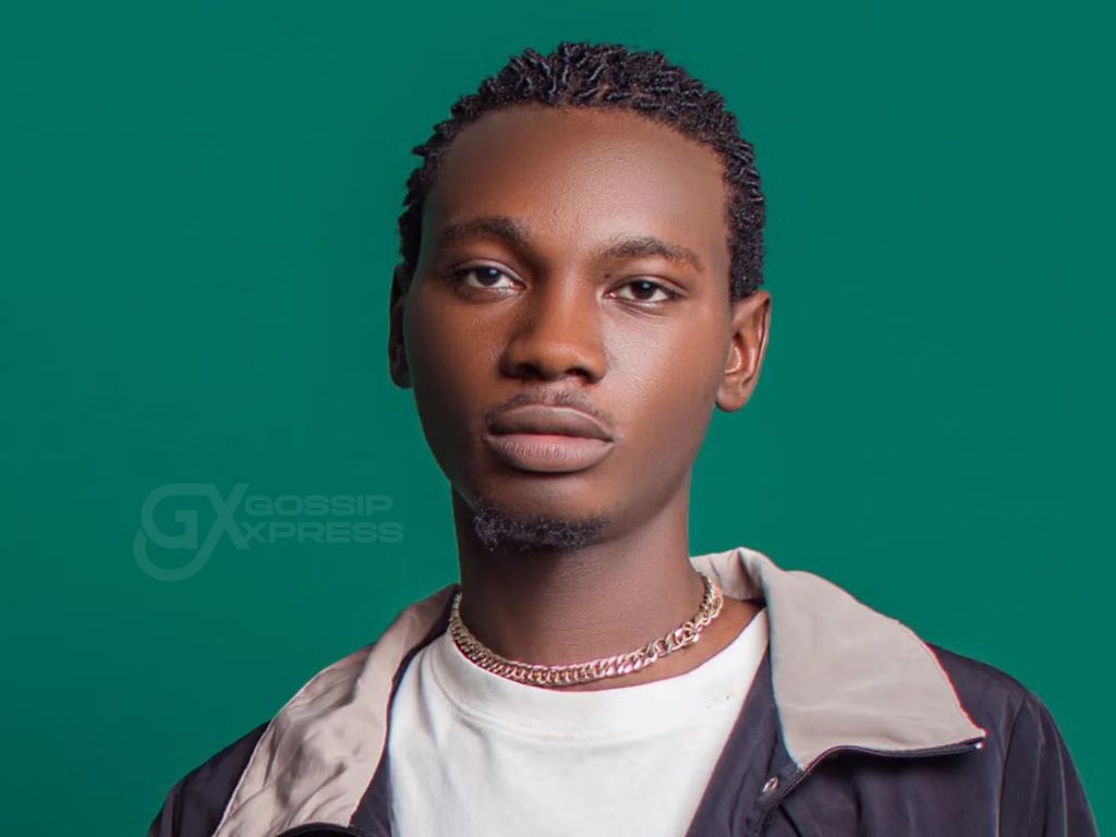 Haruna Ado Haruna (Mirror H) Biography, Age, Songs & Career Journey